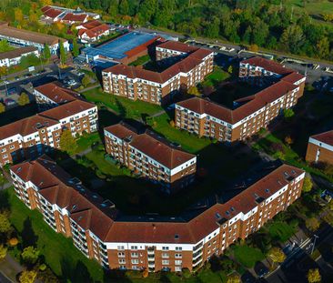 2 schöne Zimmer in Reislingen S/W, Küche und Duschbad mit Fenster - Photo 2