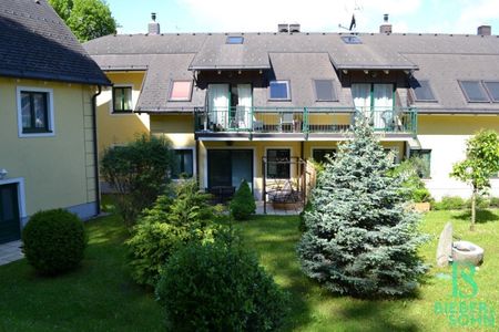 Terrassenwohnung mitten im Grünen – beim Lainzer Platz´l - Photo 3