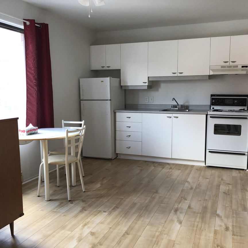 Le 443 Sainte-Anne, St-Hyacinthe - Photo 1