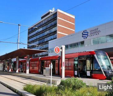 Magic Sunsets from Top Floor Apartment, Fabulous Location - Photo 6