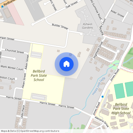 55 Morgan Street, Bellbird Park QLD 4300