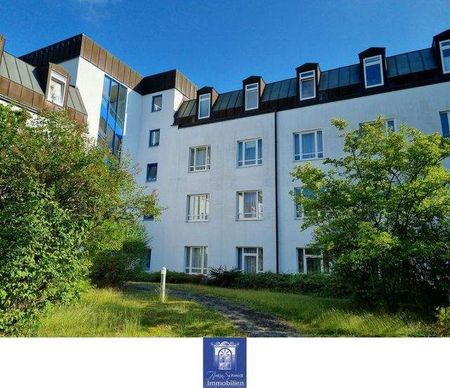 Modern möbliertes und gemütliches Appartement in Dresden-Klotzsche! - Photo 3