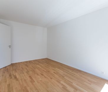 Residenza Radice - moderno 2.5 locali al pianterreno - Photo 1