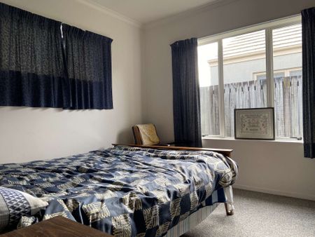 50a Te Aroha Street - Photo 3