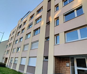 Location Appartement 2 pièces 42m² ROUEN 76000 - Photo 5