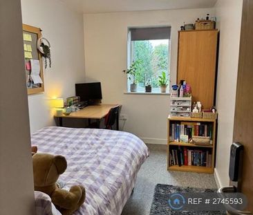 7 bedroom flat to rent - Photo 5