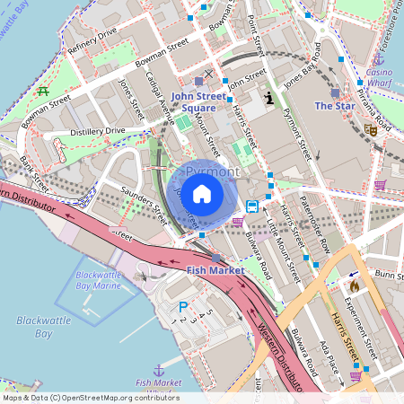 276/102 MILLER STREET, NSW 2009, Pyrmont