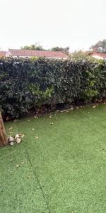 Appartement à louer 2 pièces 43.33m² - Photo 4