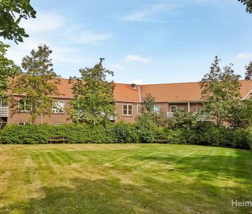 Skønne 2-værelses boliger til den enlige, par eller studerende - Photo 2