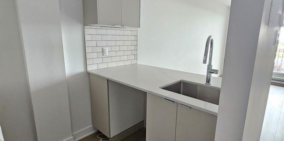 1 CH - 1 SDB - Montréal - $1,145 /mo - Photo 3