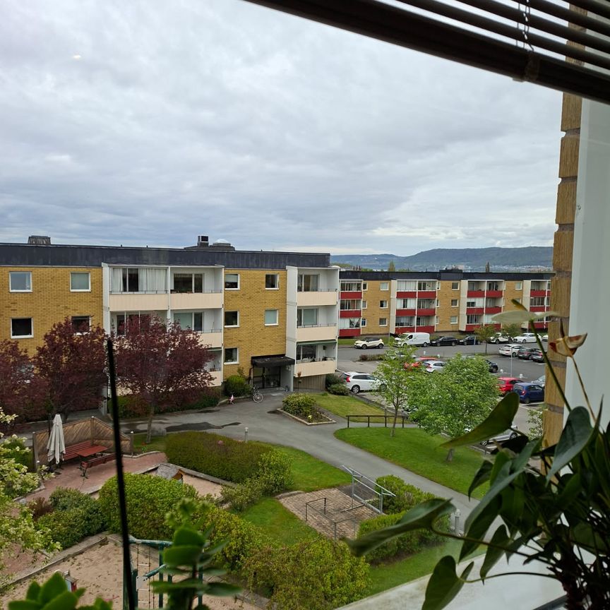 Sälggatan, Jönköping - Foto 1