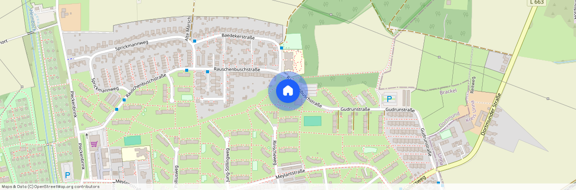 Rauschenbusch Straße 61, 44319 Dortmund