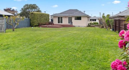 43 Daniels Road, Redwood. - Photo 4