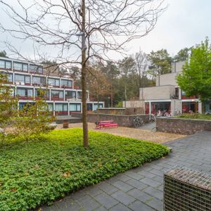 Witbreuksweg, 399 - Photo 2