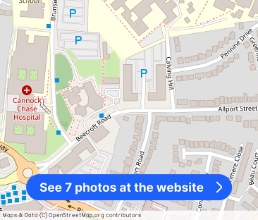 Tawny Place - Photo 1