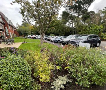 Ringwood Road - Photo 5