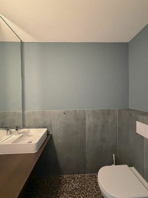 Appartement élégant dans le centre de Buchs - Photo 1