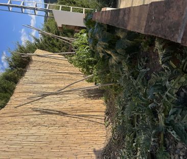 Finca rústica de alquiler en Diseminado Diseminados, 21, Benamargosa - Photo 6