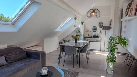 ST JULIEN LES METZ - F2/F3 MEUBLE - COUR COMMUNE - Photo 2