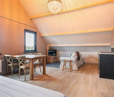 Studio Strijbeekseweg, Strijbeek huren? - Foto 3