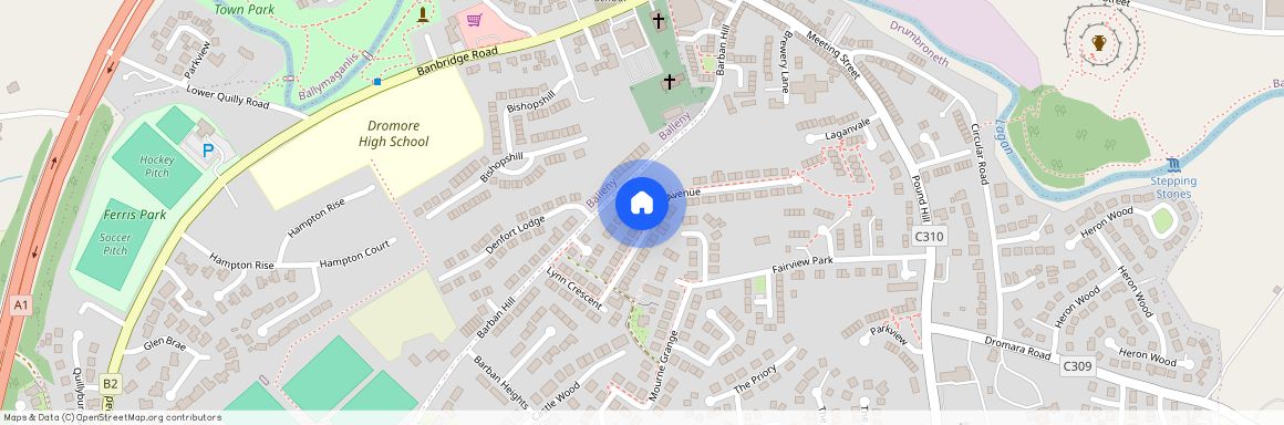 20 Lynn Avenue, Dromore, BT25 1PZ