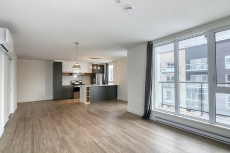 9675 Av. Papineau, app.9, H2B 3C8, H2B 3C8, Montréal - Photo 2