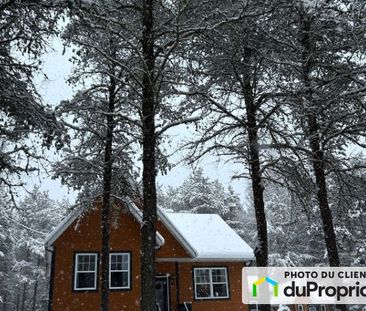 80 chemin Denis, Mont-Tremblant (St-Jovite) à louer - Photo 5