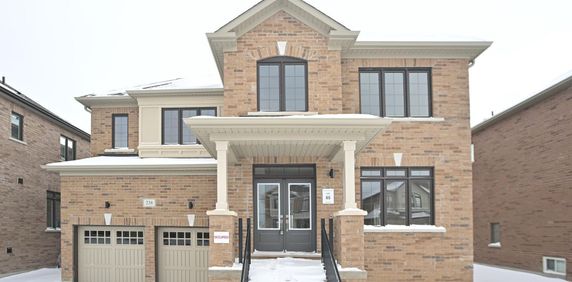 For Lease - 238 Warden Street, Clearview, Ontario - Photo 2