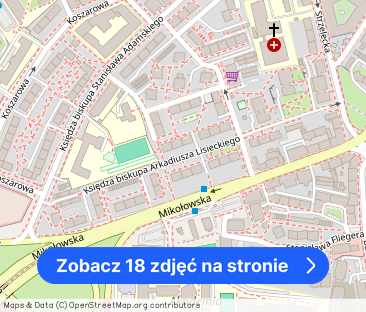 Katowice Śródmieście, Lisieckiego, 2 pok. 46,7 m - Zdjęcie 1