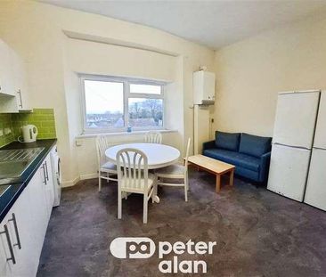 Walter Road, Swansea, SA1 - Photo 3