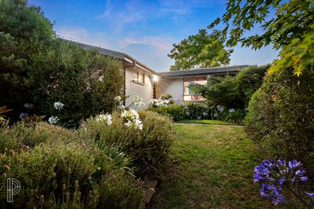 7 Krichauff Street, Page ACT 2614 - House For Rent | Domain - Photo 5