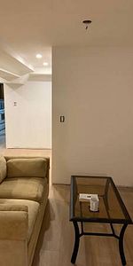 Very Large, Newly Renovated, Furnished Basement Apartment - Photo 3