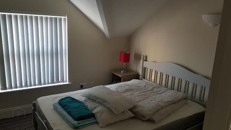71 Fitzwilliam Street Apt 3, Belfast, BT9 6AX - Photo 2
