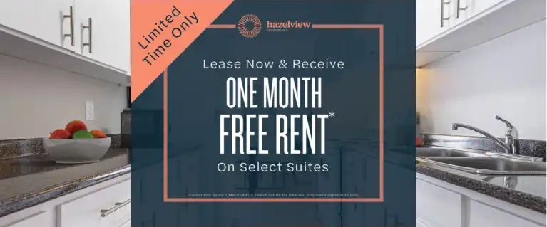 Trinity Apartments | 1170, 1145, 1175 Lauzon Road, Windsor - Photo 1