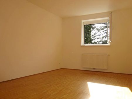 Perfekte Innenstadtwohnung mit drei Zimmern, separater Küche und Balkon – Provisionsfrei - Photo 3