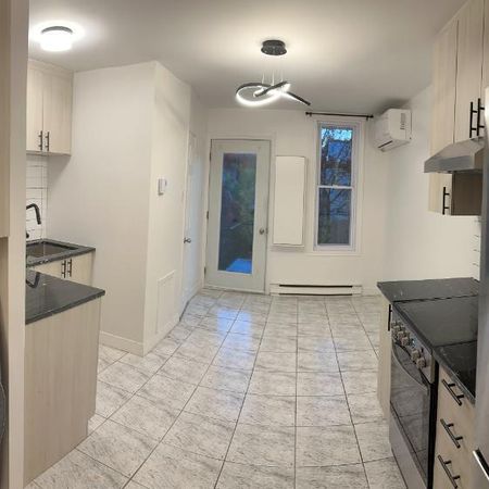 Grand 3 ½ Plateau Mont-Royal près du parc DeLorimier - Photo 4