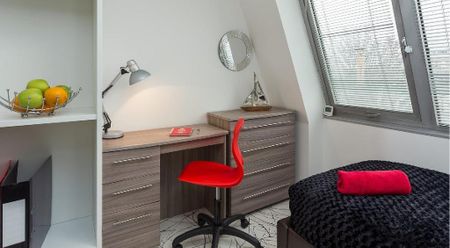 Studio to rent - Photo 3