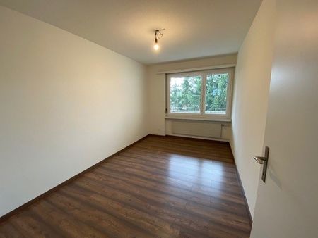 Attraktive 4-Zimmerwohnung in Geroldswil - Photo 4