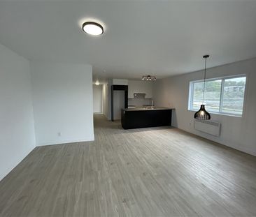 842-203 rue Lamarche, Sherbrooke, J1H 0M9 4½ (Décembre 2025) - Photo 4