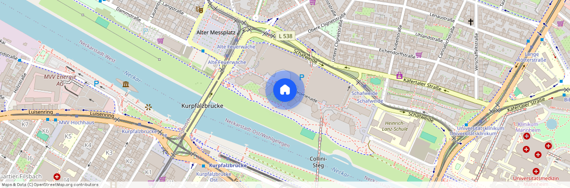 Neckarpromenade 16, 68167 Mannheim