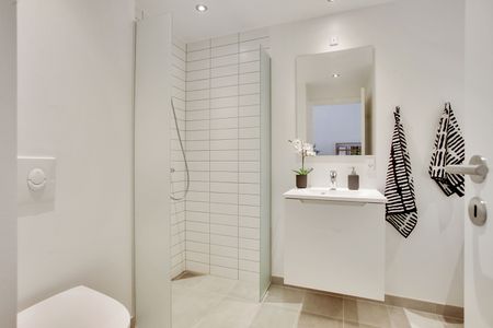 Sonnesgade 50 A, st. 11 - Foto 2