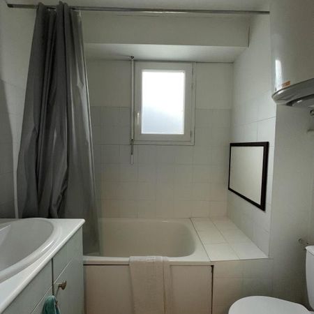 Location Appartement 1 pièce Meublé 18m² LE BOURGET DU LAC 73370 - Photo 4