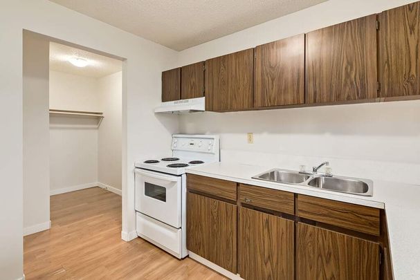 1 Bedroom - Photo 1