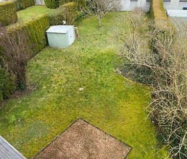 Mietwohnung Großrosseln ab 1.05.2026 - Photo 5