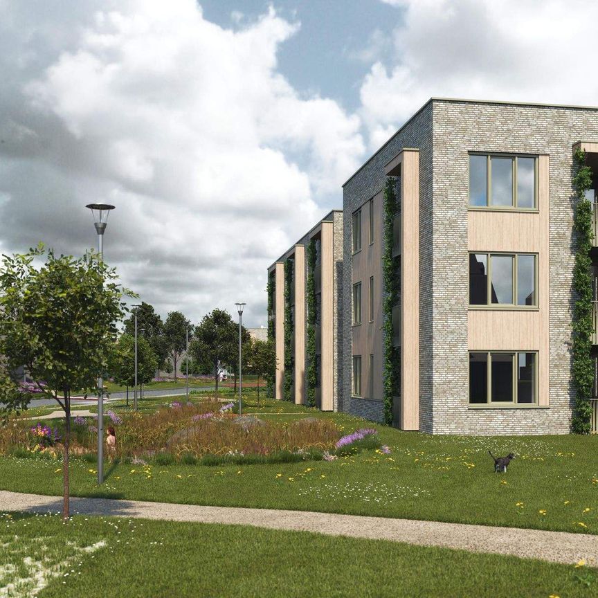 Appartement Het Bösveld, Reuver - À louer - Photo 1