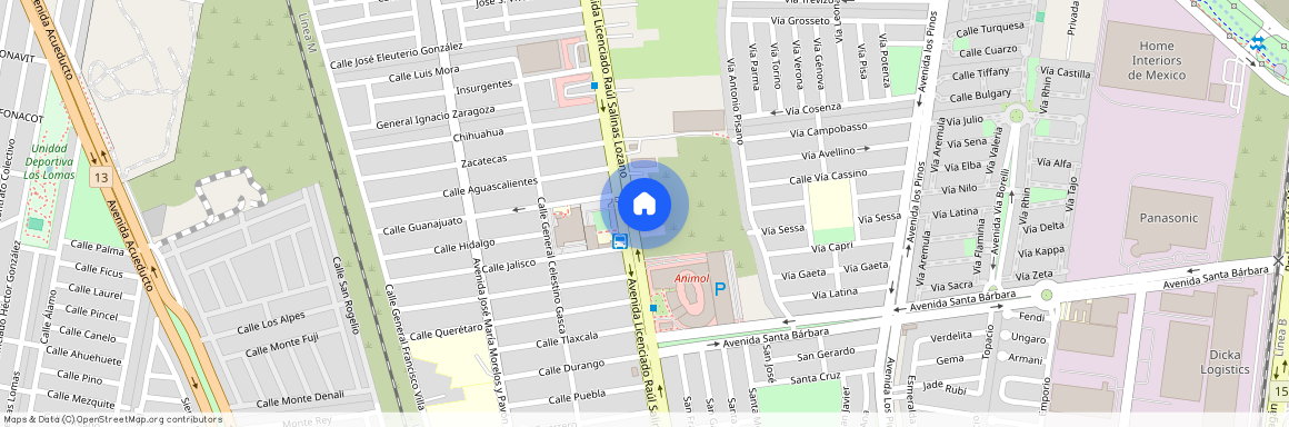 Avenida Licenciado Raúl Salinas Lozano 297, Celestino Gasca, General Escobedo