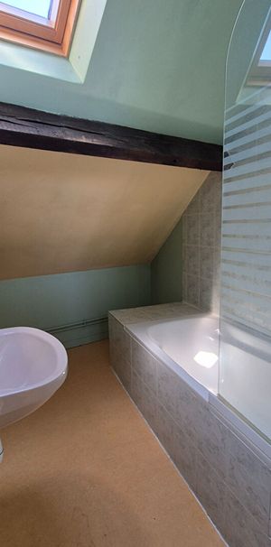 Location Appartement 1 pièce 11m² TOURS 37000 - Photo 1