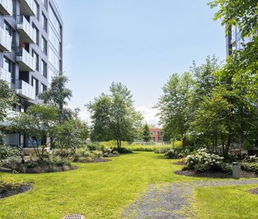 1910 Rue des Bassins, #604 - Photo 2