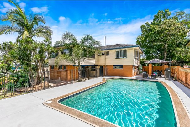 12 Franciscea Street, Everton Hills QLD 4053 - House For Rent | Domain - Photo 1