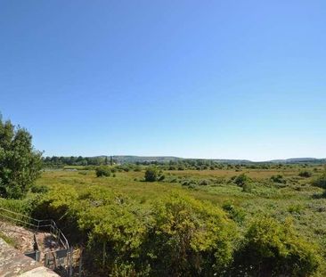 Coldwaltham, West Sussex, RH20 - Photo 5